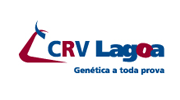 CRV Lagoa