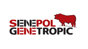 Genetropic Agropecu�ria